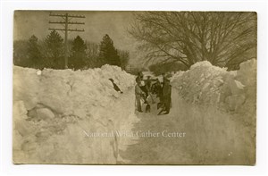 Image description is not available for PHO-264-656